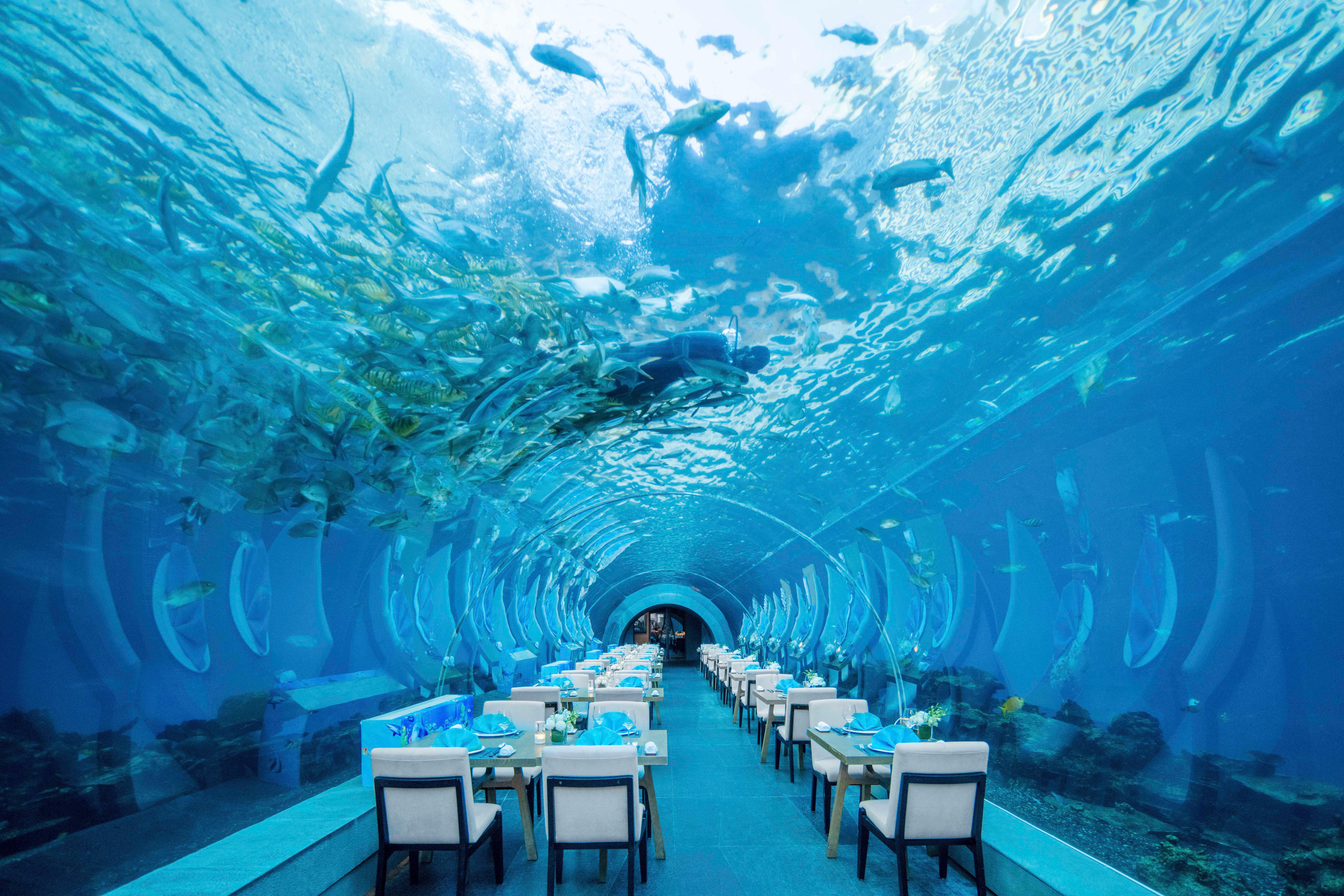 三亚海棠湾天房洲际度假酒店（网红海洋餐厅） 外观 照片